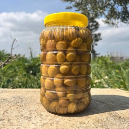 Urla Domat Tipi Yeşil Zeytin